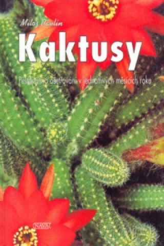 Kaktusy