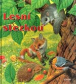 Kouzelné omalovánky pro vaši harmonii