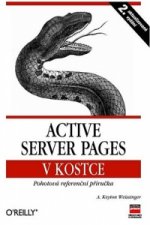 Active server pages v kostce 2.vydání