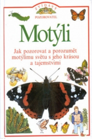 Motýli