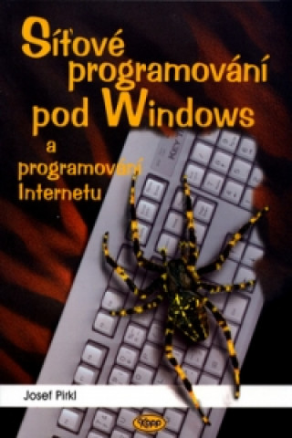 Síťové programování pod Windows