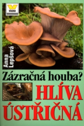 Zázračná houba? Hlíva ústřičná