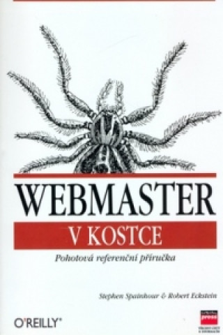 Webmaster v kostce