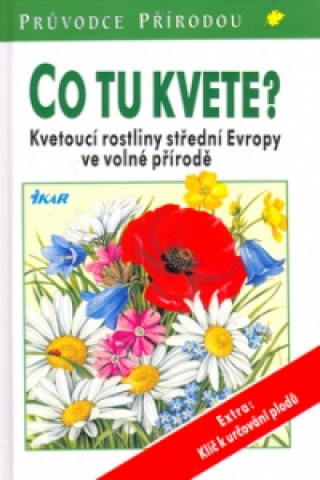 Co tu kvete