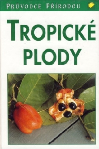 Tropické plody