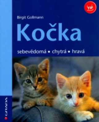 Kočka