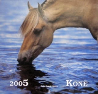 Koně 2005 - nástěnný kalendář