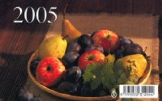Týdenní bezobrázkový mini 2005 - stolní kalendář
