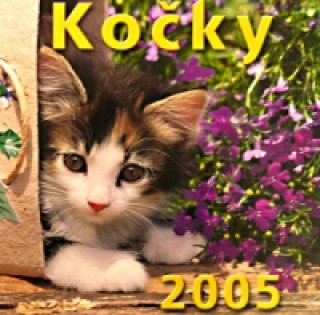 Kočky 2005 - nástěnný kalendář