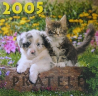 Přátelé 2005 - nástěnný kalendář