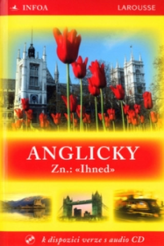 Anglicky Zn: Ihned