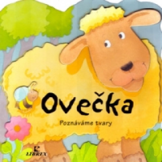 Ovečka poznáváme tvary