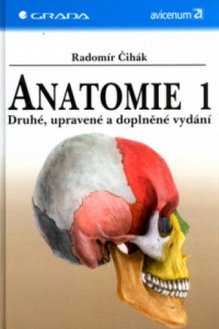 Anatomie 1.