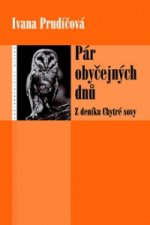 Pár obyčejných dnů