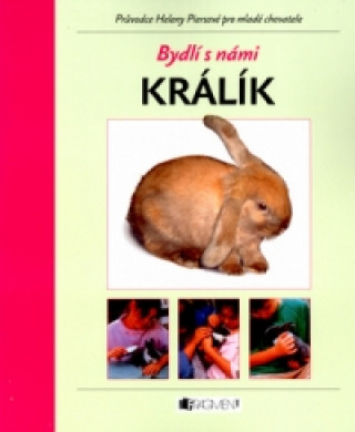 Králík