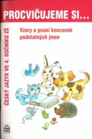 Procvičujeme si Vzory a psaní koncovek podstatných jmen