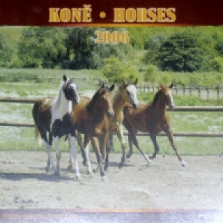 Koně - Horses 2006 - nástěnný kalendář