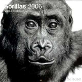 Gorrilas 2006