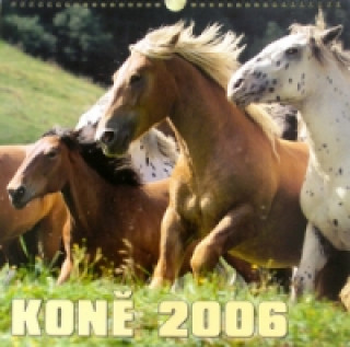 Koně 2006 - nástěnný kalendář
