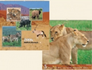 Safari 2006 - nástěnný kalendář