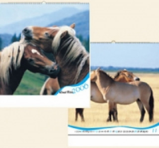 Koně 2006 - nástěnný kalendář