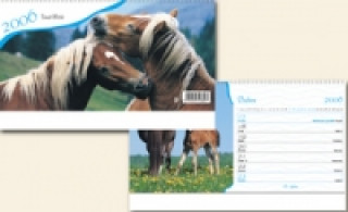 Koně 2006 - stolní kalendář