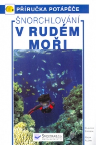 Šnorchlování v Rudém moři