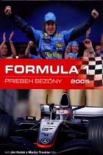 Formula 1 Priebeh sezóny 2005