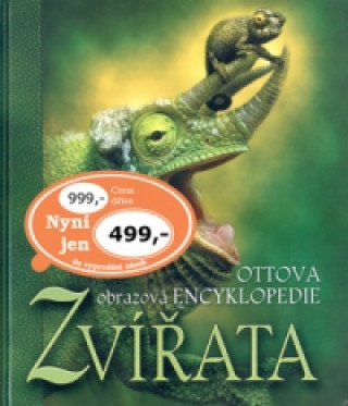 Zvířata