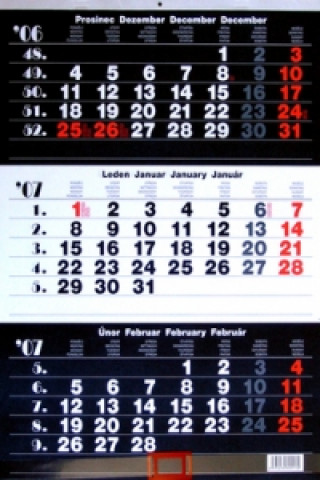 Tříměsíční kalendář modrý 2007 - nástěnný kalendář