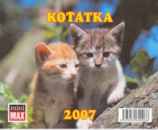 MiniMax Koťátka 2007 - stolní kalendář