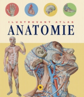Anatomie Ilustrovaný atlas