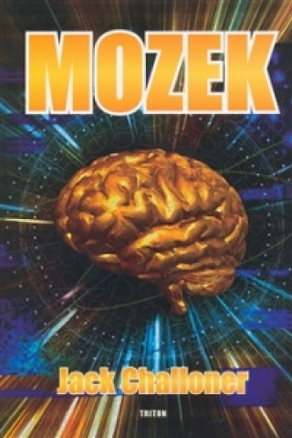 The Brain Mozek