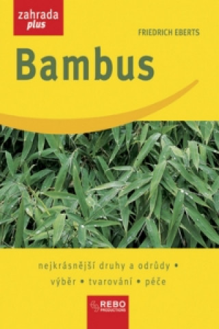 Bambus