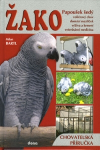 Žako Papoušek šedý