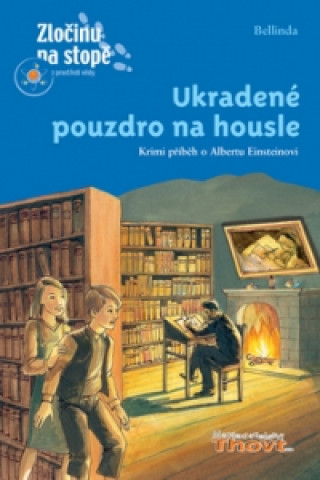 Ukradené pouzdro na housle