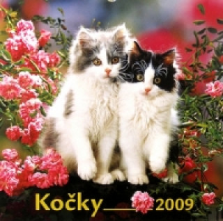 Kočky 2009 - nástěnný kalendář