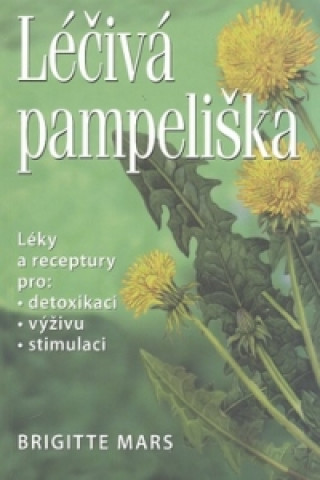 Léčivá pampeliška