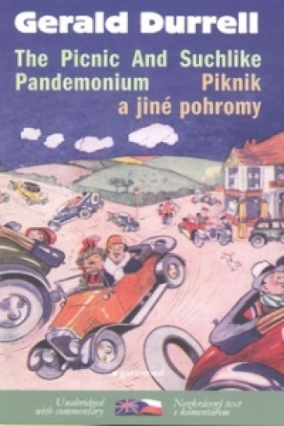 Piknik a jiné pohromy/The Picnic And Suchlike Pandemonium