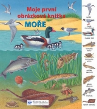 Moře Moje první obrázková knížka