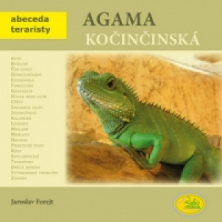 Agama kočičinská