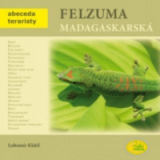 Felzuma madagaskarská