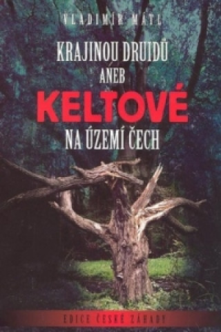 Krajinou druidů aneb Keltové na území Čech