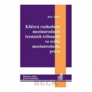 Klíčová rozhodnutí mezinárodních trestních tribunálů ve světle mez. práva