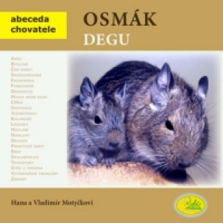 Osmák degu