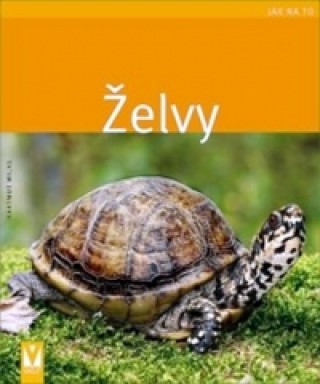 Želvy