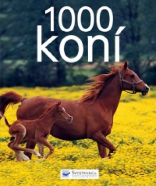 1000 koní