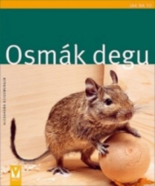 Osmák degu