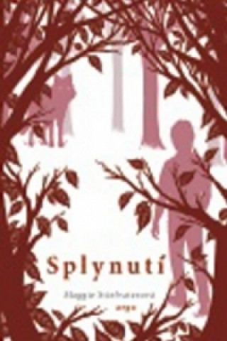 Splynutí