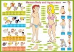 Karta Human Body and Appearance